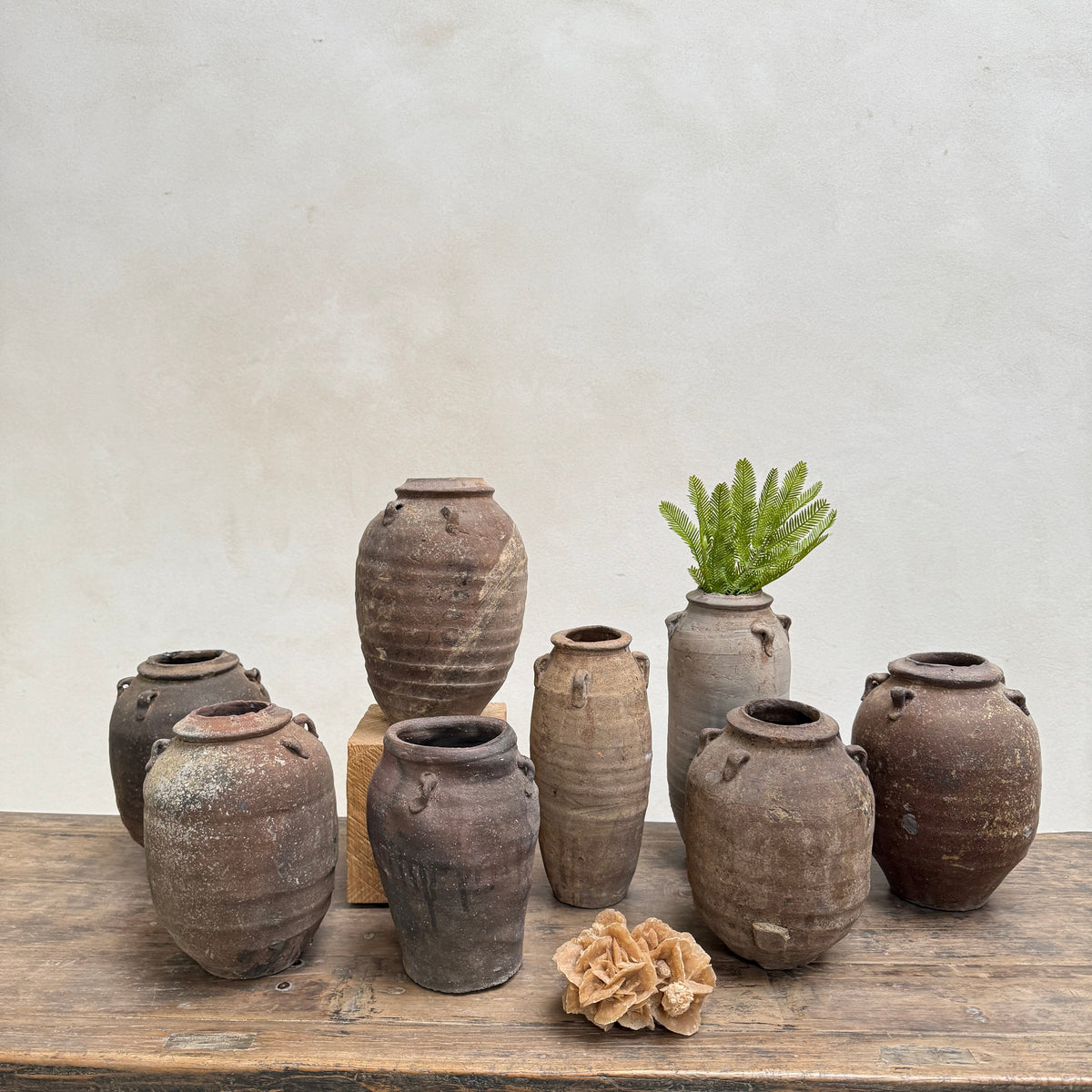 14th Century Shipwreck pot | Darlina