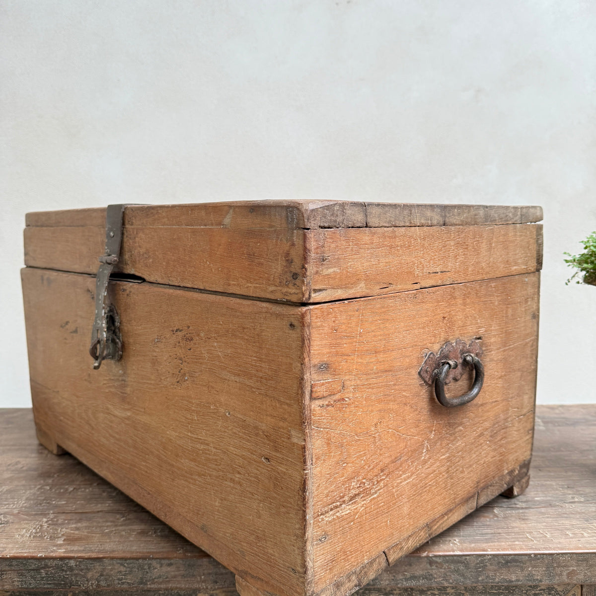 Antique watchmaker's storage chest