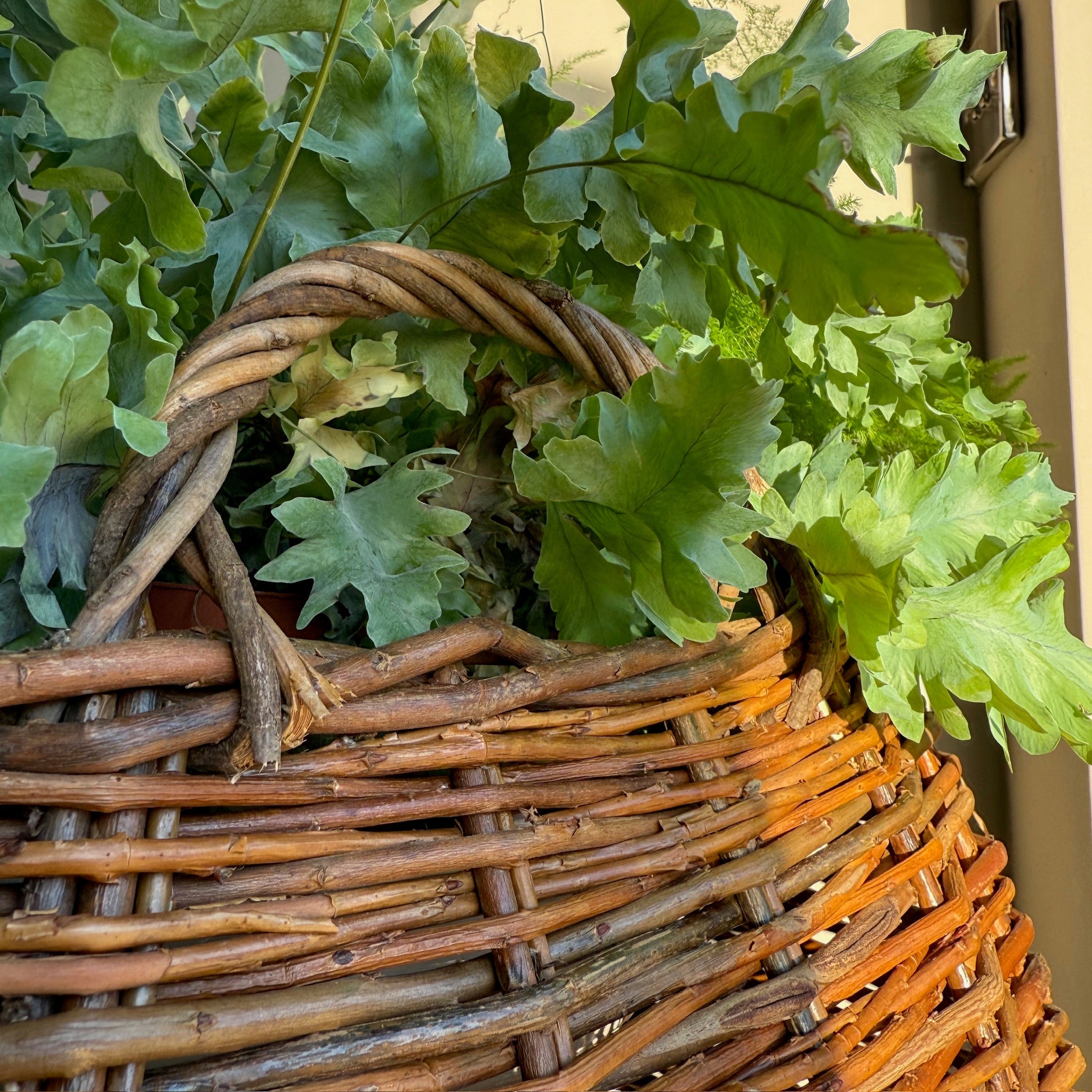 Handwoven Willow Basket | Cecily